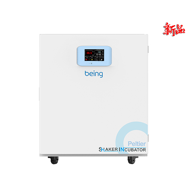 上海一恒BEC-250半導體制冷低溫培養(yǎng)箱